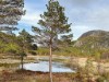 Bild 16