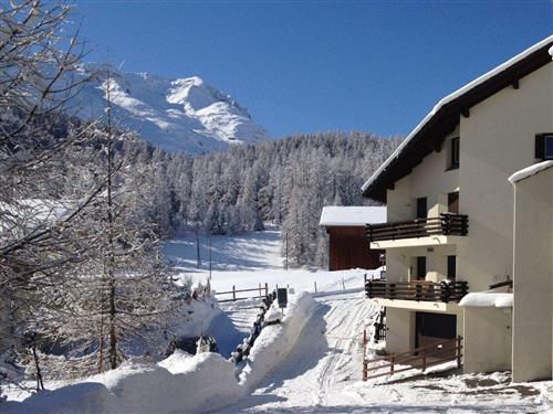 Holiday apartment - 8 persons -  - Celerina - 7505