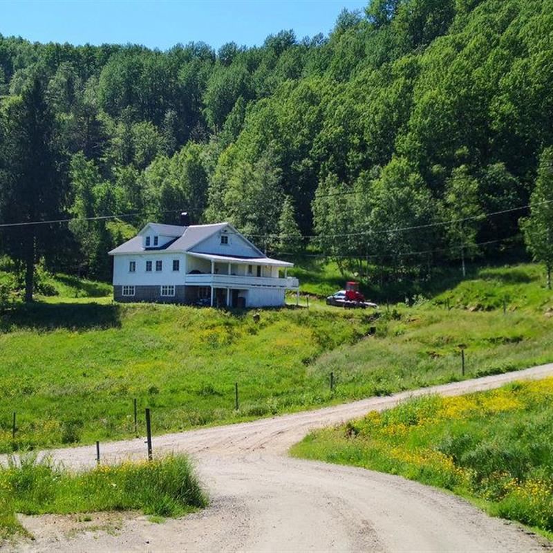 Sommerhus - 6 personer -  - Eftestøl - 4480 - Kvinesdal