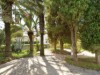Bild 22
