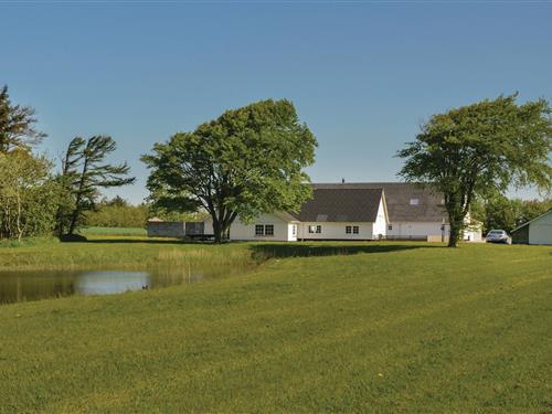 Ferienhaus - 22 Personen -  - Bjergvej - Stauning - 6900 - Skjern