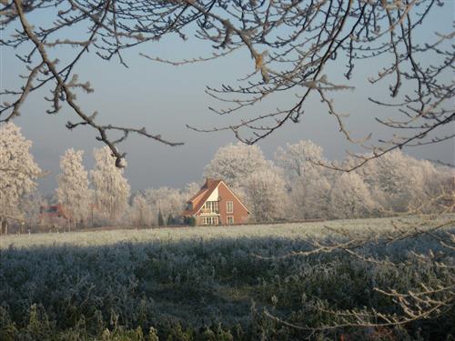 Sommerhus - 12 personer -  - Moorlage - 48488 - Emsbüren