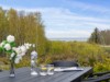 Billede 16 - Terrasse