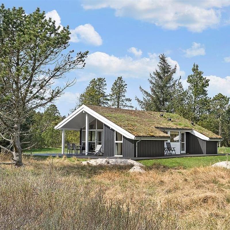 Sommerhus - 6 personer -  - Hunetorp Klitvej - Rødhus - 9490 - Pandrup