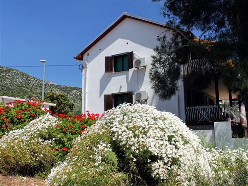 Ferielejlighed - 5 personer -  - Zavala b.b., Zavala - 21465 - Jelsa