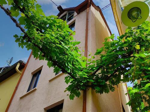 Holiday home - 4 persons -  - Zeller Kehr - 56856 - Zell (Mosel)