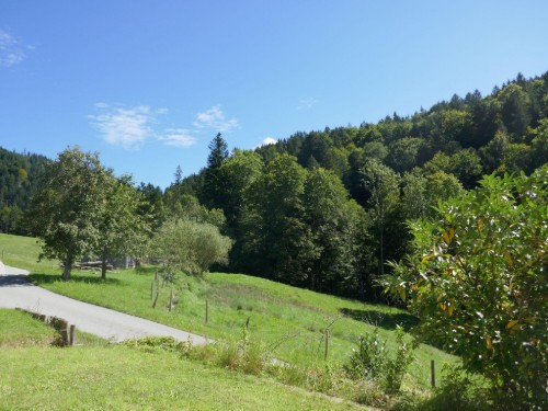 Semesterlägenhet - 6 personer -  - Gschwandlerweg - 83684 - Tegernsee