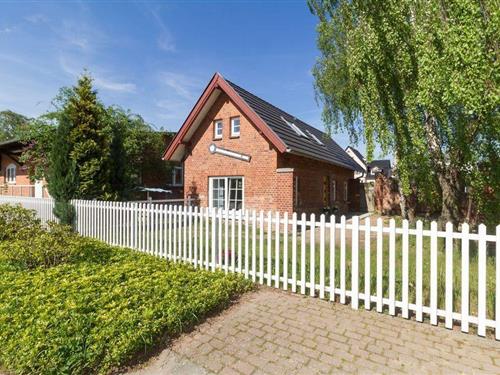 Sommerhus - 8 personer -  - Karl-Risch-Straße - 18225 - Ostseebad Kühlungsborn