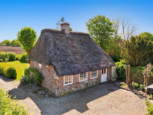 Ferienhaus - 5 Personen -  - Sejerslevvej - 6280 - Höjer