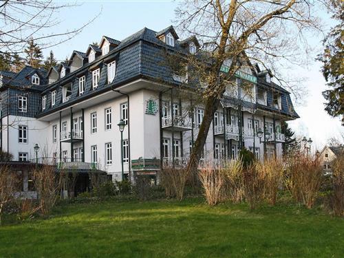 Feriehus / leilighet - 4 personer -  - 38875 - Tanne