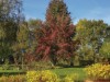 Bild 22
