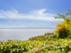 Bild 22