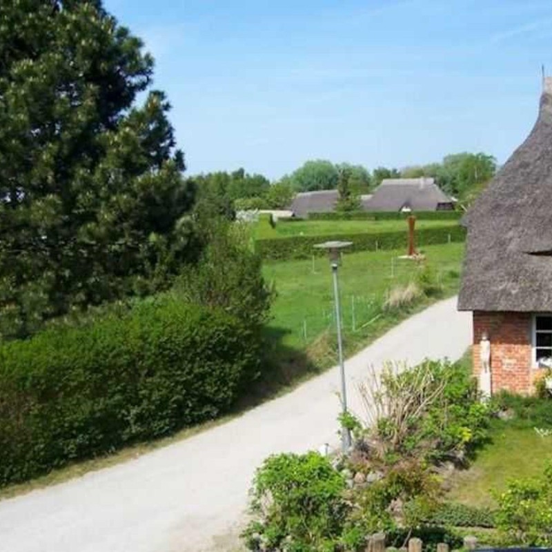 Ferielejlighed - 3 personer -  - Bernhard-Seitz-Weg - 18347 - Ahrenshoop