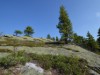Billede 29