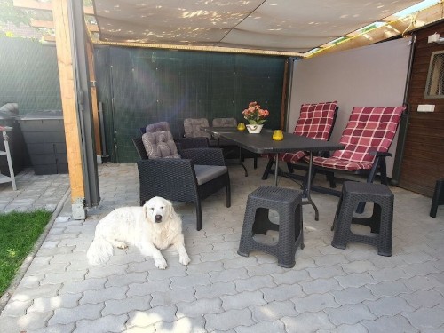Holiday home - 12 persons -  - 15562 - Rüdersdorf Bei Berlin