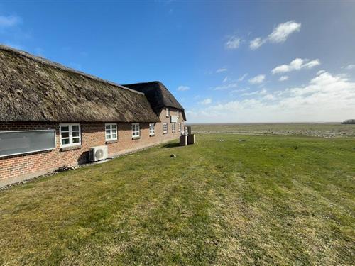 Sommerhus - 10 personer -  - Holmsland Klitvej - Klegod - 6950 - Ringkøbing