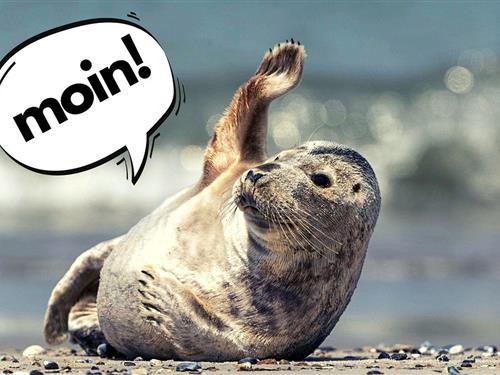 Fritidshus - 3 personer -  - Friesische Straße - 25980 - Sylt