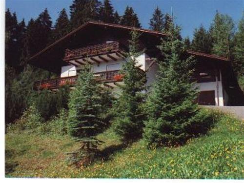 Ferielejlighed - 5 personer -  - Buschweg - 94227 - Zwiesel