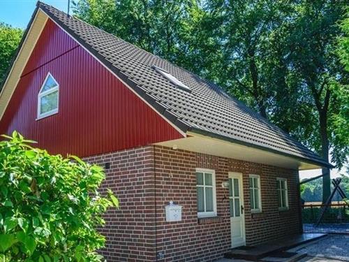 Ferienhaus - 7 Personen -  - Am Hasenfeld - 49751 - Sögel