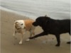 Bild 22