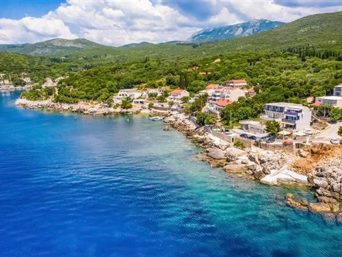 Ferielejlighed - 5 personer -  - Molunat bb - Dubrovnik-Molunat - 20215 - Gruda