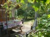 Image 30 - Outside