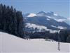 Bild 21