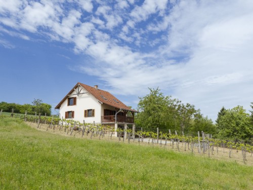 Ferienhaus - 8 Personen -  - 8638 - Balatonlelle