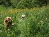 Bild 17