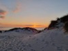 Bild 42