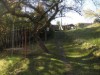 Billede 17