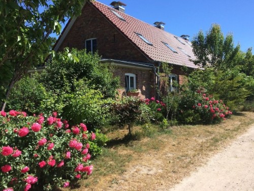 Sommerhus - 2 personer -  - 18569 - Trent
