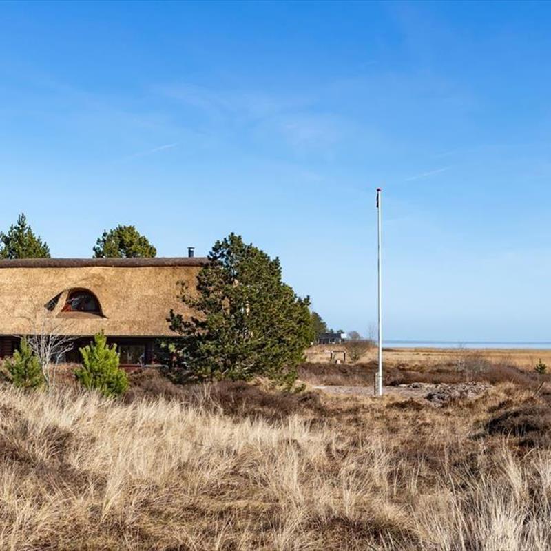 Ferienhaus - 8 Personen -  - Kap Farvel - Kongsmark - 6792 - Römö