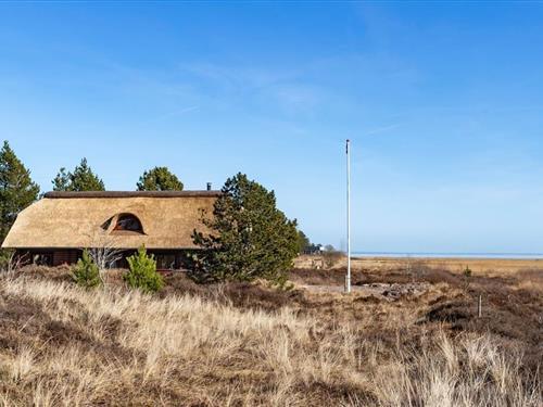 Sommerhus - 8 personer -  - Kap Farvel - Kongsmark - 6792 - Rømø