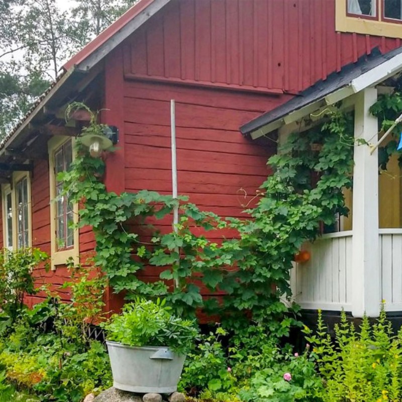 Sommerhus - 5 personer -  - Ölsboda - 693 91 - Degerfors