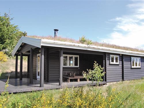 Sommerhus - 4 personer -  - P. Ejerstedgaards Vej - 9493 - Saltum