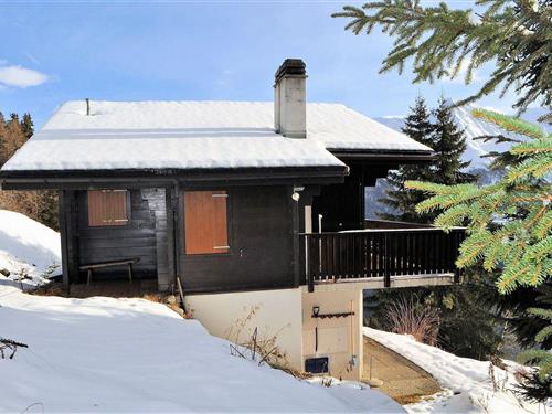 Holiday apartment - 4 persons -  - Alpmattenstr. - 3992 - Bettmeralp