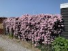 Bild 20