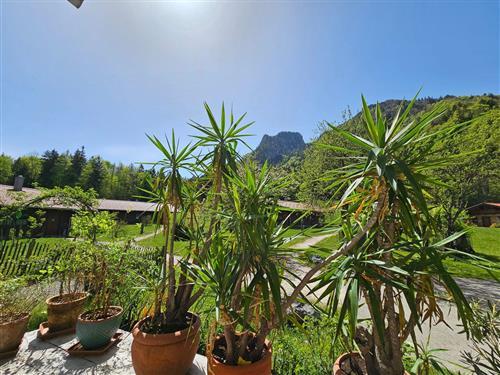 Ferieleilighet - 6 personer -  - Waich - 83324 - Ruhpolding