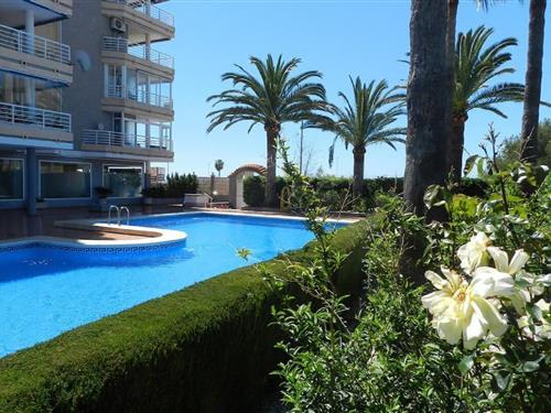 Sommerhus - 6 personer -  - Europa - 03710 - Calpe