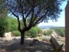Image 37 - Outside