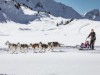Bild 24
