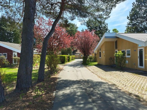 Ferienhaus - 4 Personen -  - Walter-Gotsmann-Straße - 17252 - Mirow