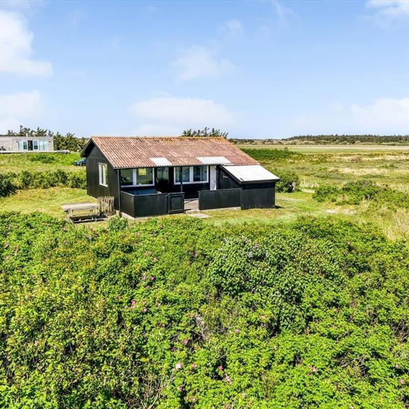 Ferienhaus - 2 Personen -  - Hvidbjerg Strandvej - 6857 - Blavand