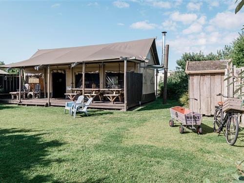 Glamping telt - 8 personer -  - 1759JG - Callantsoog