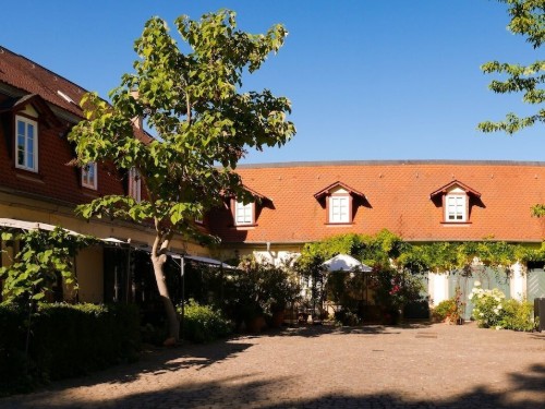 Sommerhus - 3 personer -  - 67251 - Freinsheim