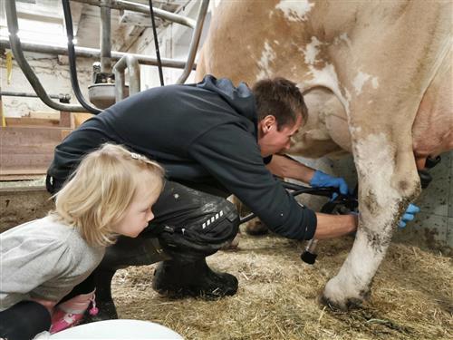 Bondegård - 2 personer -  - Burg - 9981 - Kals Am Großglockner