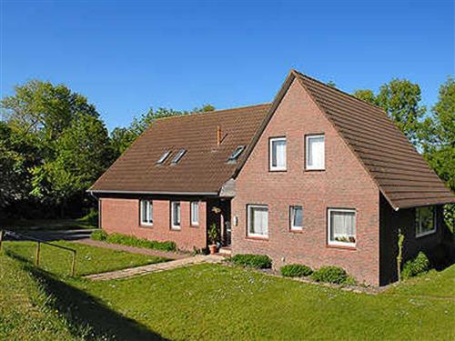 Ferieleilighet - 2 personer -  - Am Hafen - 26427 - Bensersiel