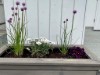 Image 7 - Outside