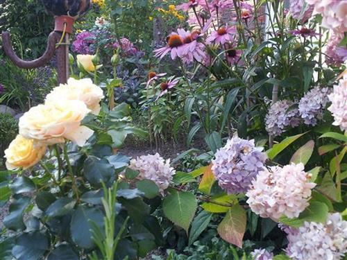 Ferienwohnung - 2 Personen -  - Schaapskoppel - 23715 - Bosau